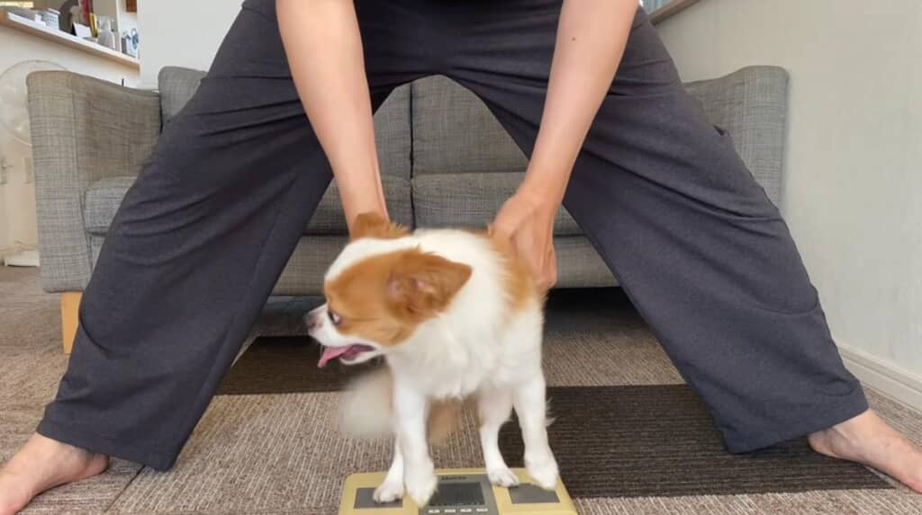 譲二くんの体重から測っていきます