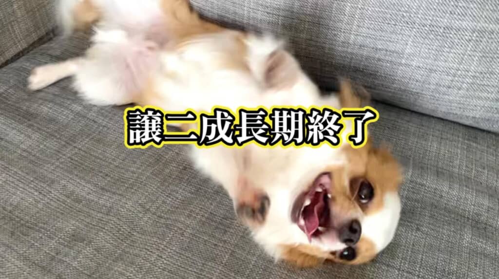 体重キープで成長期が終了？