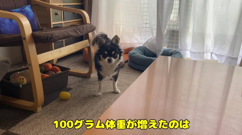 まさかの100グラム増