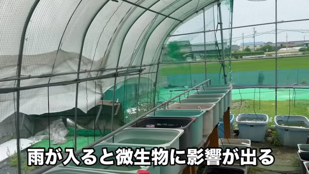 雨粒が入るとビオトープ内の微生物に影響が出る