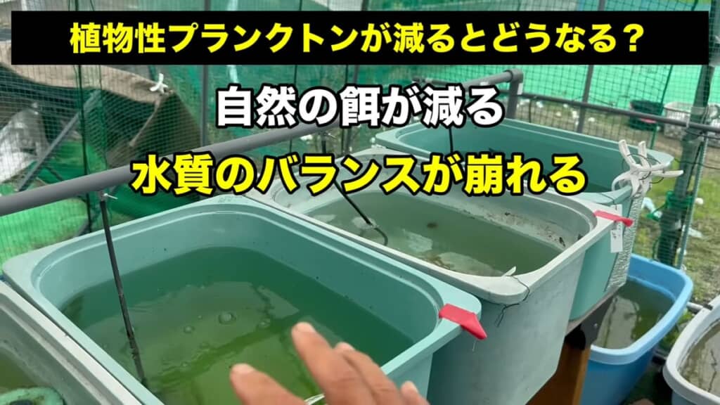植物プランクトンが減ると水質のバランスが崩れる