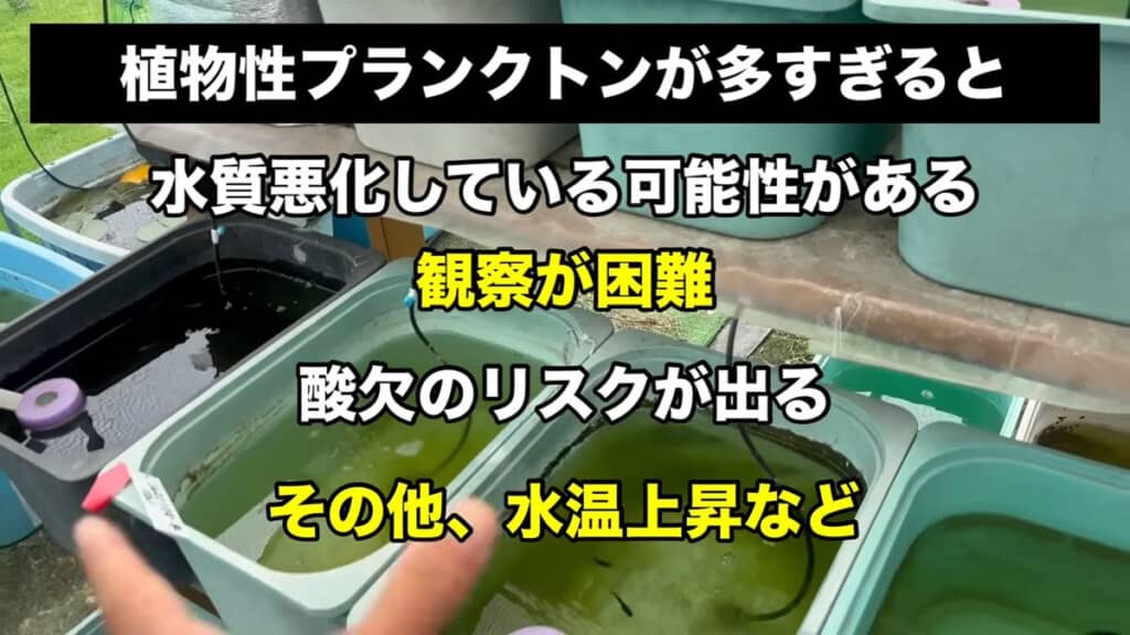 植物プランクトンが多すぎても問題はある