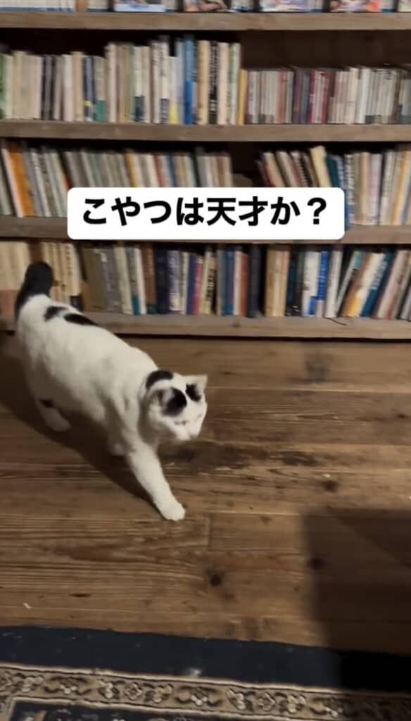 目的のものがあるようです
