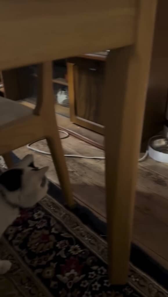 見つめていたのは……