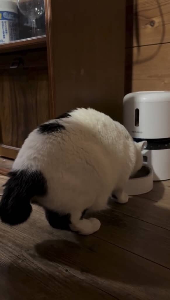 時間ぴったりにご飯タイム◎