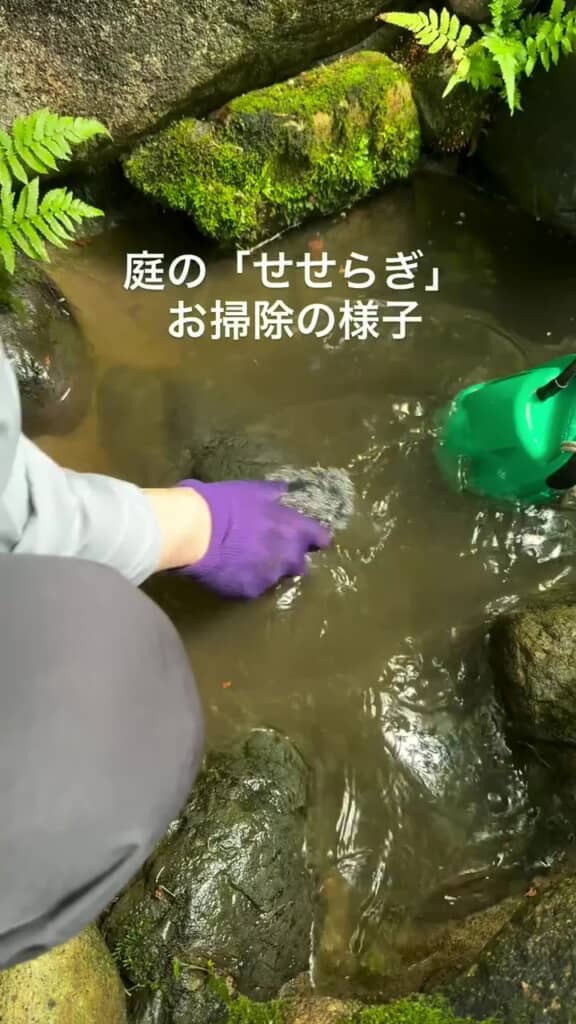 濁った小川を掃除する