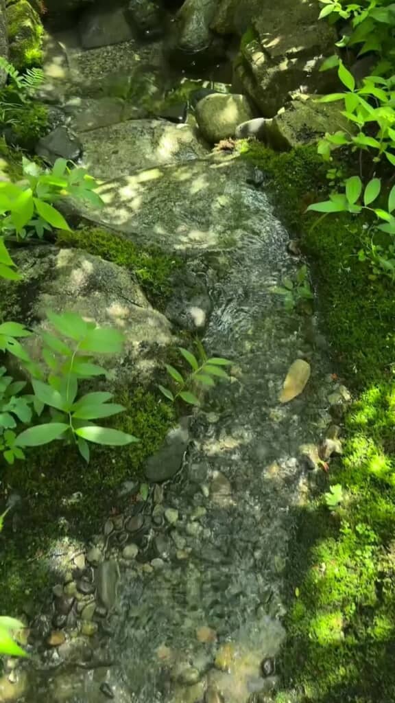 池に向かって流れる水