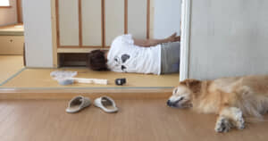 和室の横