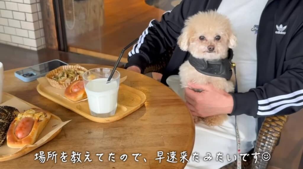 カフェでまったり