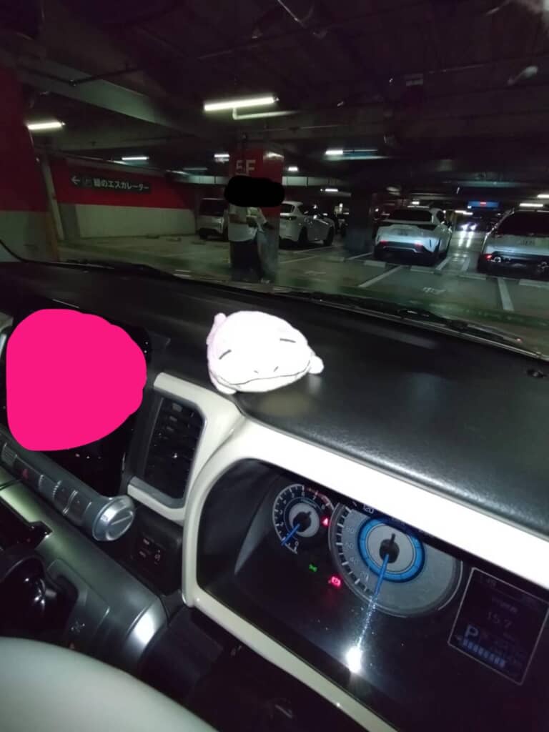 車内で撮影したり……