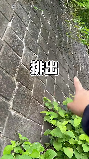 実はとても大切なもの！