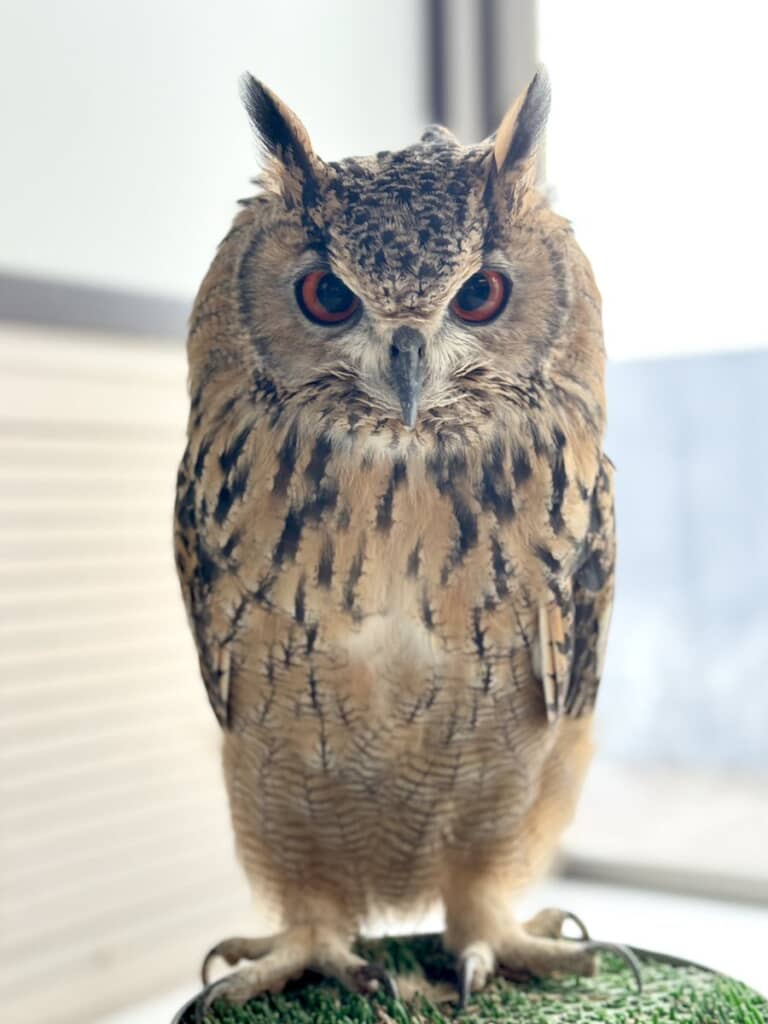 寝グセがついててもキリッ