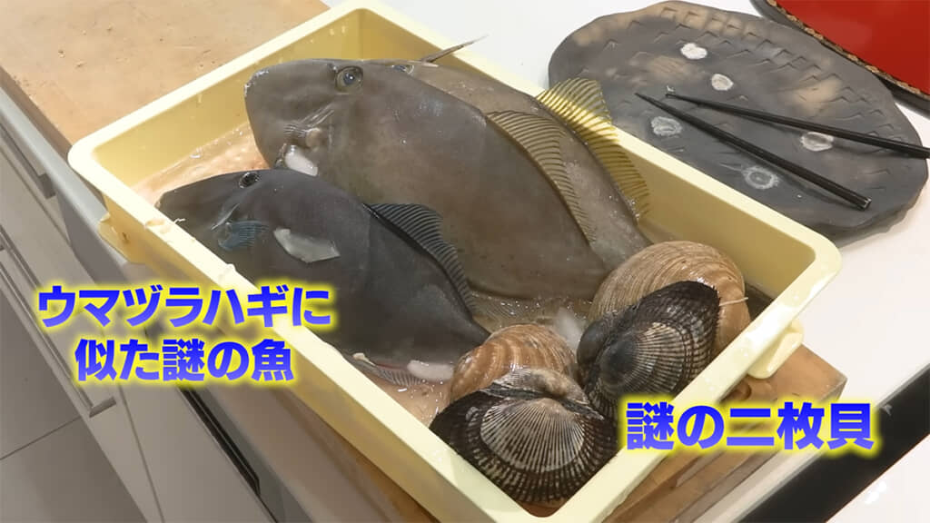 市場で遭遇した謎の魚と二枚貝