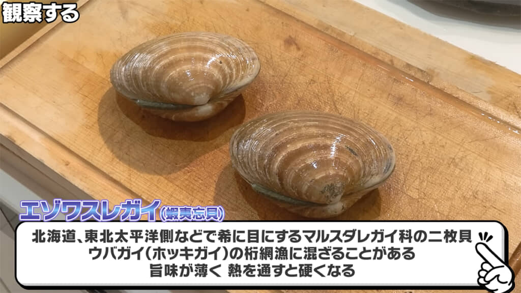 謎の二枚貝はエゾワスレガイだと思われます