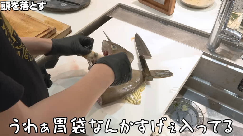 キビレカワハギをさばいていくと、胃袋に何かが入っていました