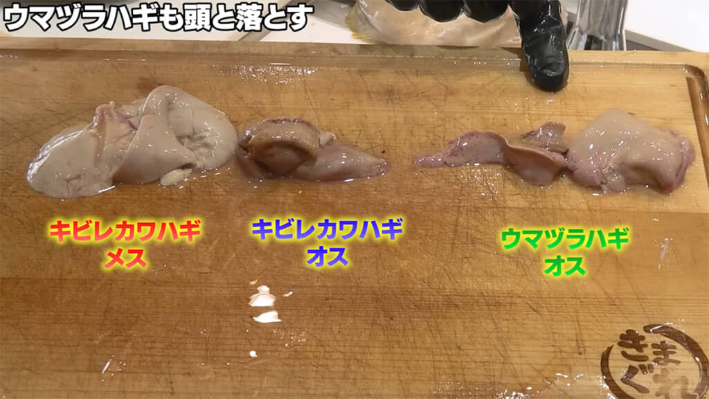 肝の色や大きさに差がありました