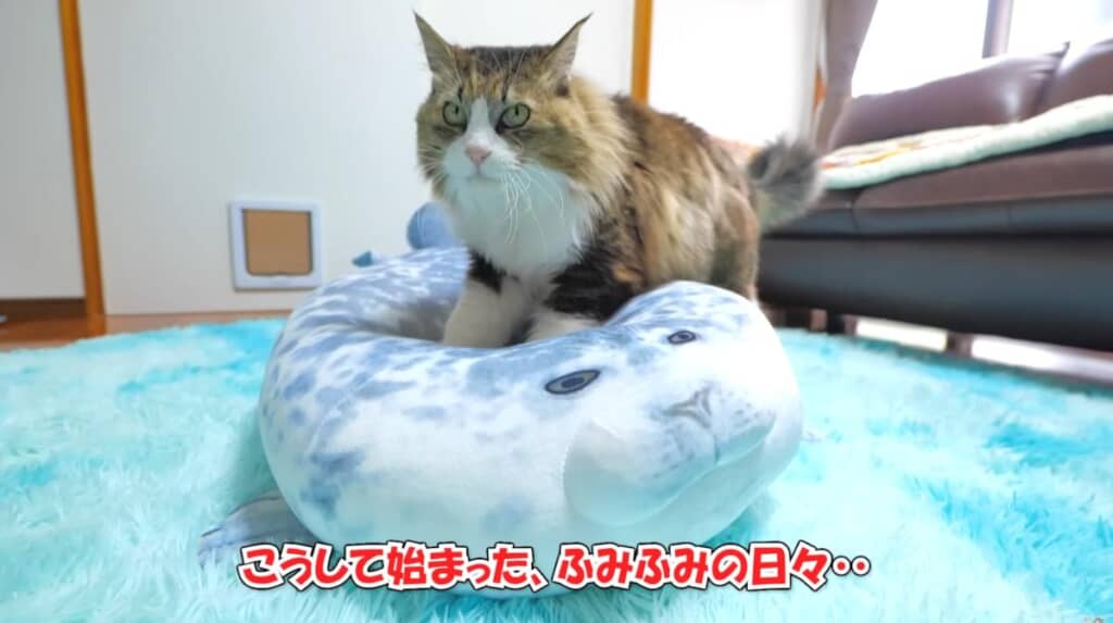 “ふみふみ”の日々