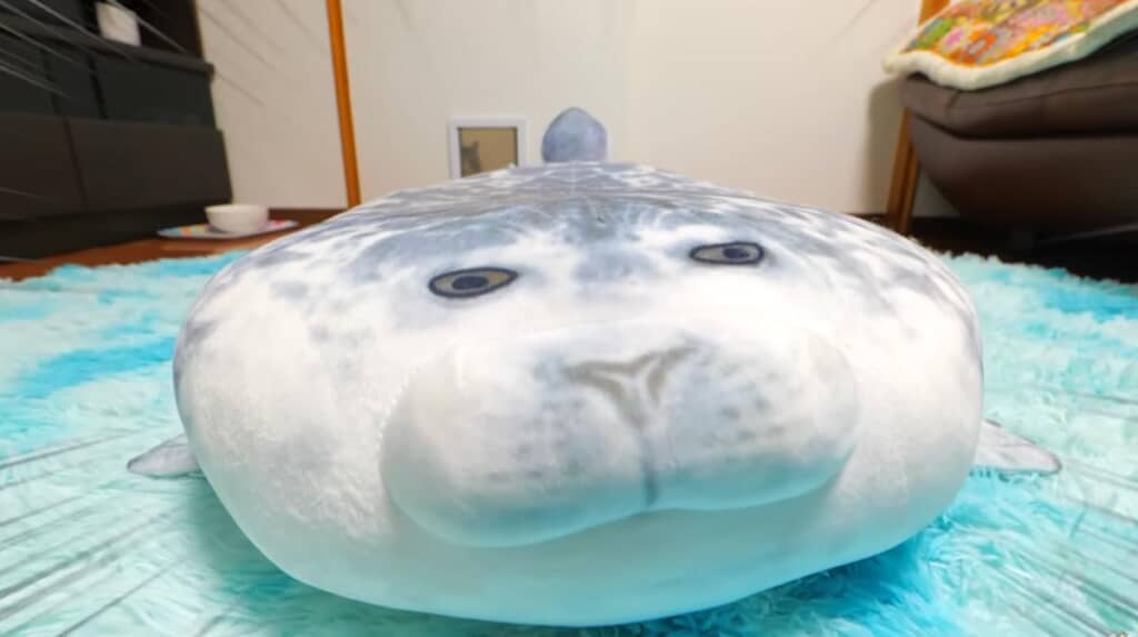 ぺったんこになったアザラシ