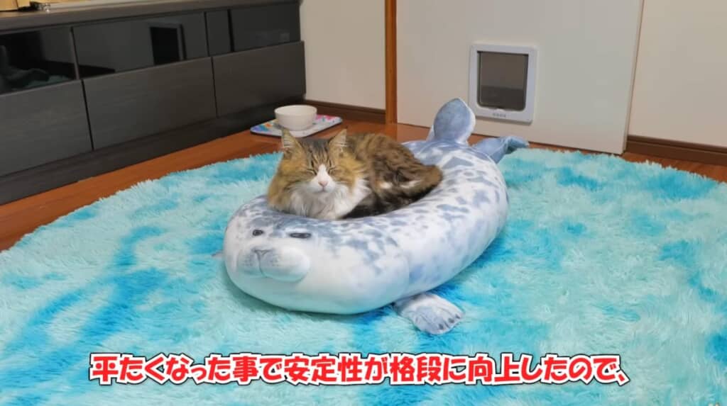 平たくなったことで安定性が格段に向上