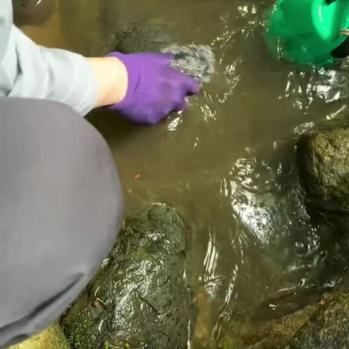 庭の“にごった川”の水を全部抜いてみた→目を疑う結果に「ここまでとは思いませんでした」「凄い!!!」(1/3) | ライフスタイル ねとらぼ