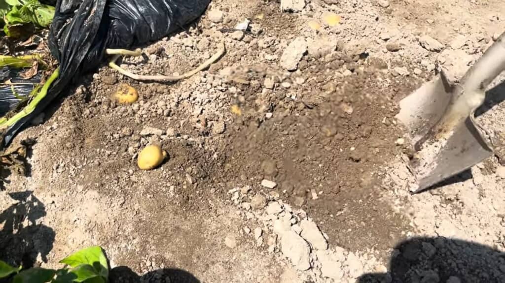 スコップで土を掘る
