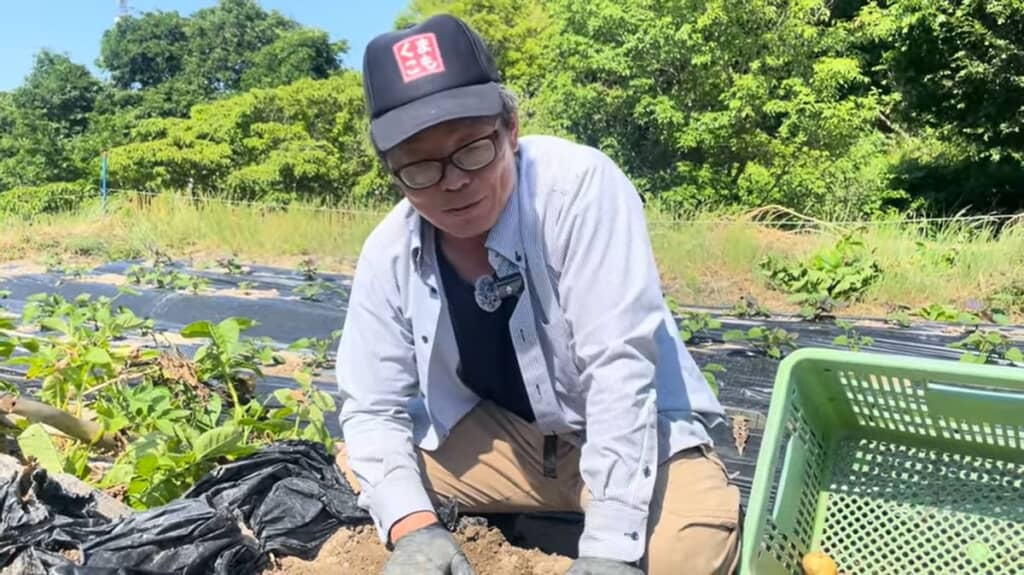 畑で会議した結果、収穫を遅らせることにした夫婦