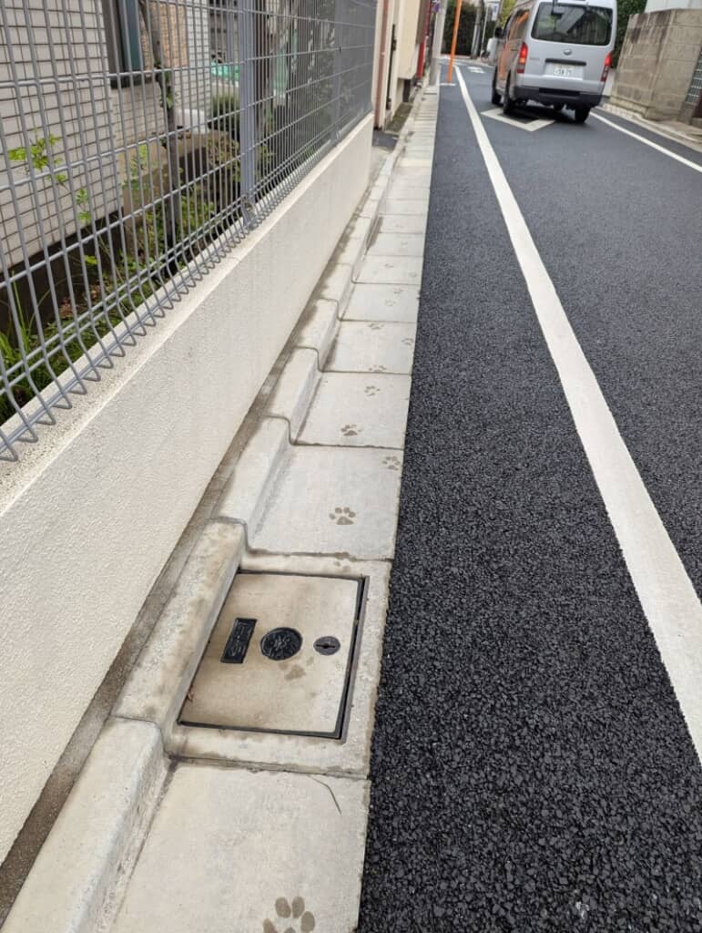 縁石にきれいな足跡が！