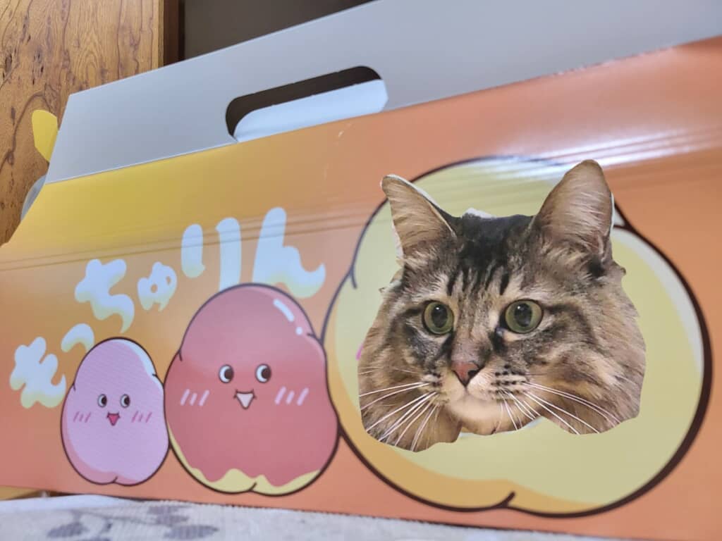 飼い主さんによる顔ハメ想像図