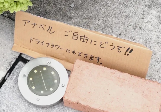 外に出しておいたのは……？