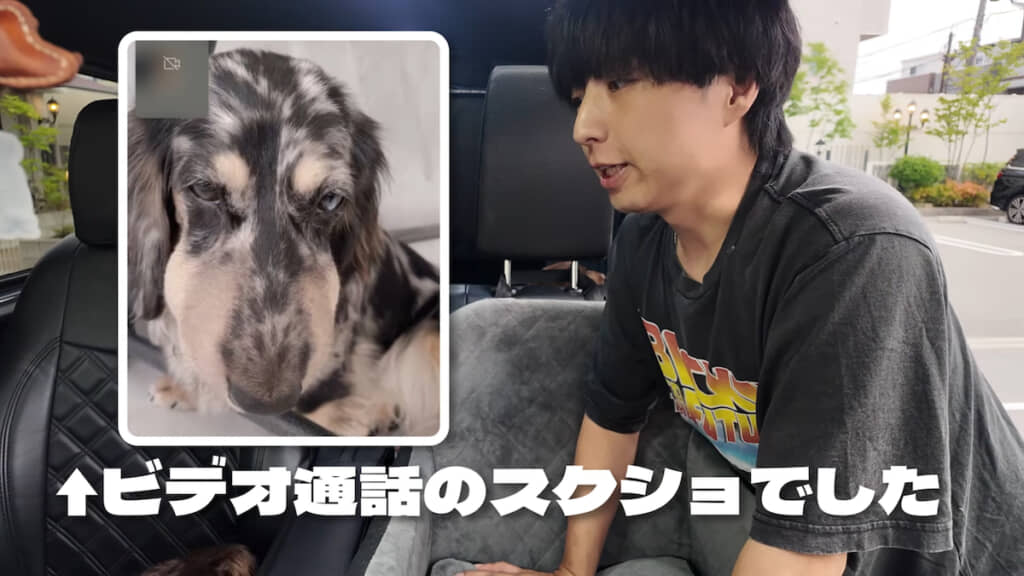 動物病院へは事前に状態を送っていたが、実際に見て腫れ具合に驚いていた