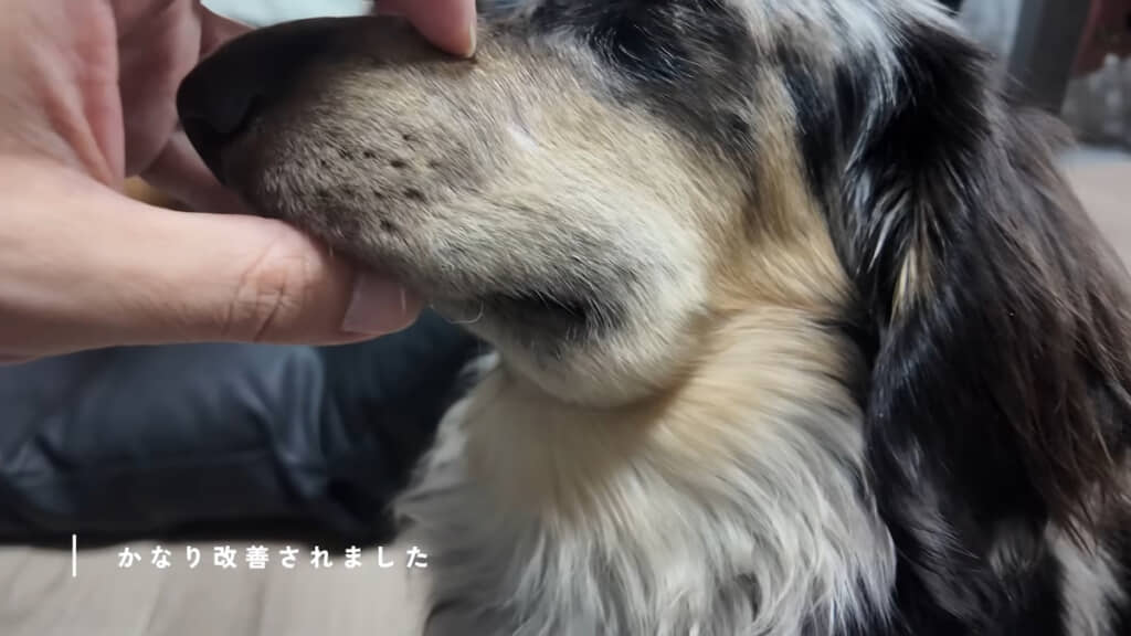 左側も改善されてきた