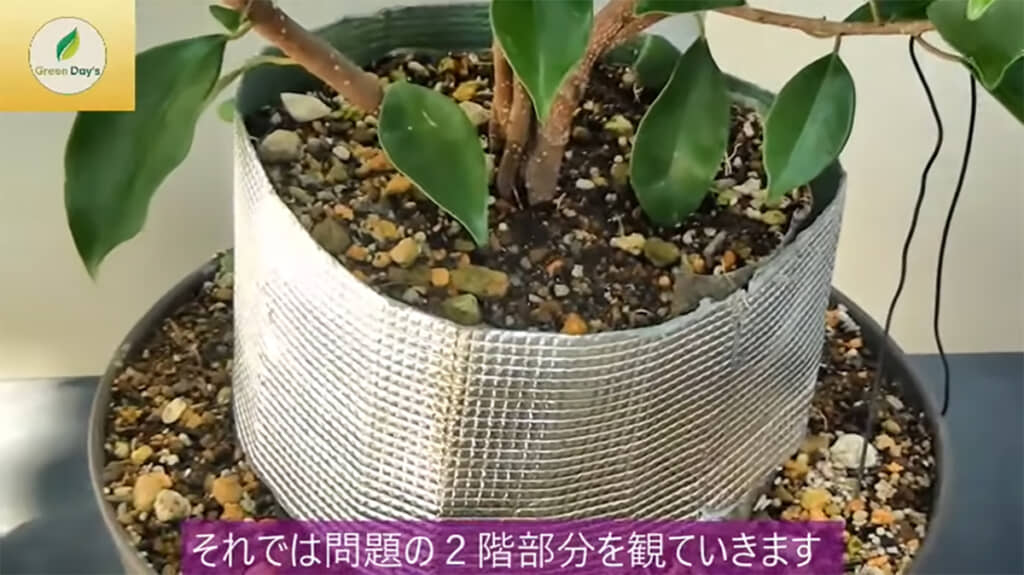 遮光シートに覆われた2階部分はどうなっているのでしょうか