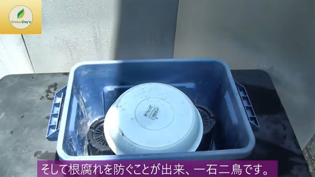 植え替え用の鉢にはプラ鉢と鉢受けを入れました