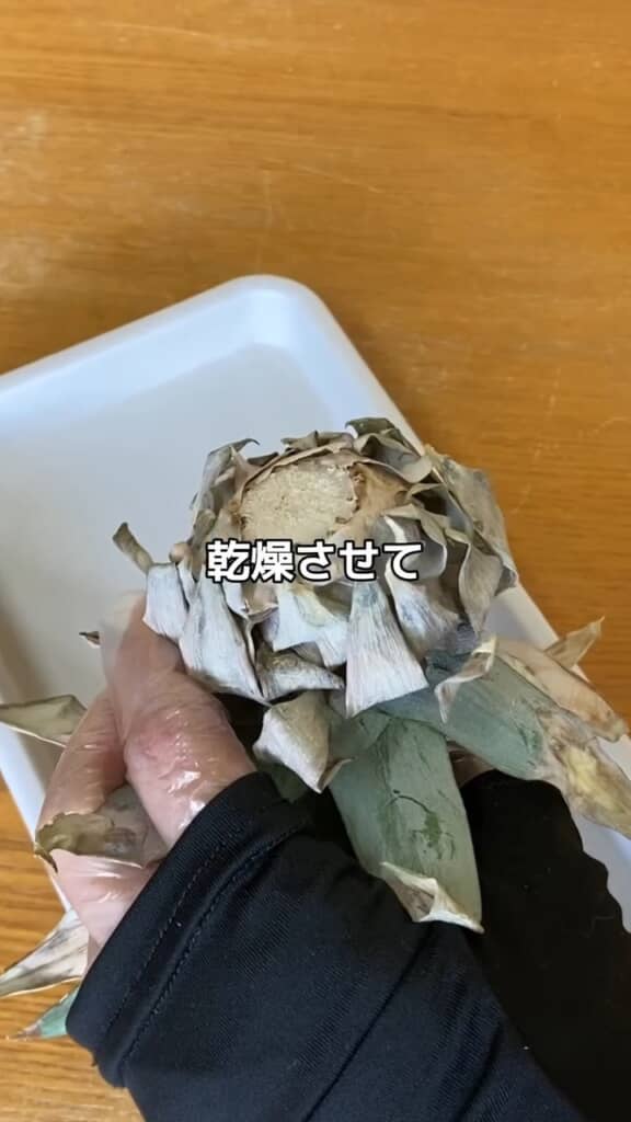 1週間ほど乾燥