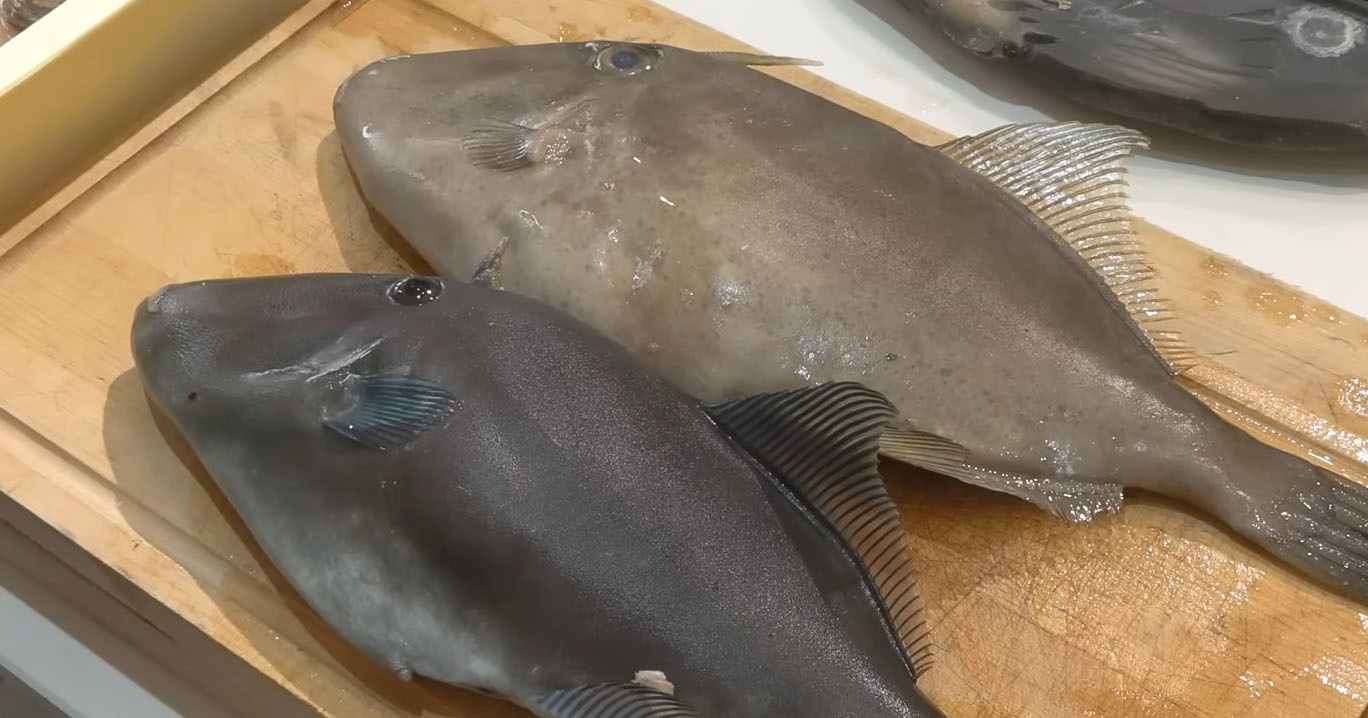 店員すら首をかしげる“謎の魚”→買ってみたら…… 思わぬ光景に「初めて見ました」「海は面白いですね!」(1/3) | その他生き物 ねとらぼ