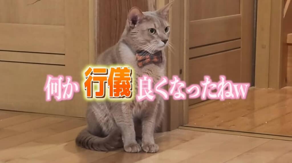 心なしかお行儀がよくなったかも……？