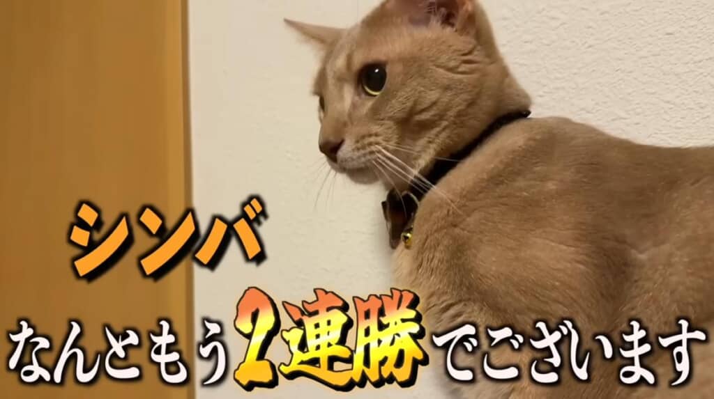 ご自慢の腕っ節で2連勝！