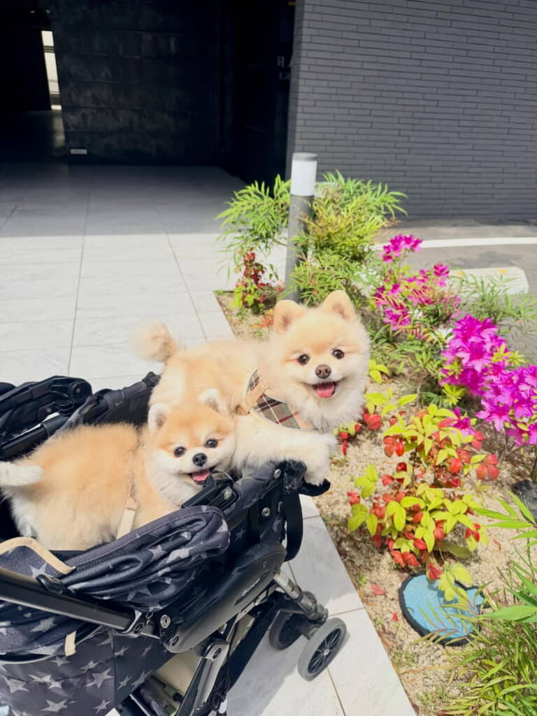 病院お疲れさま