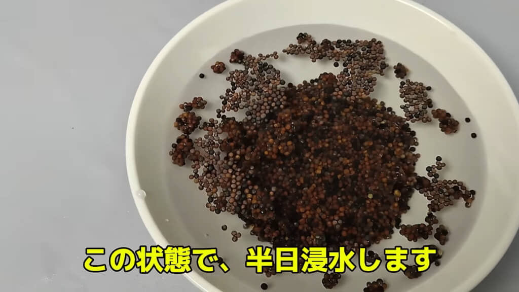 大量の種を浸水