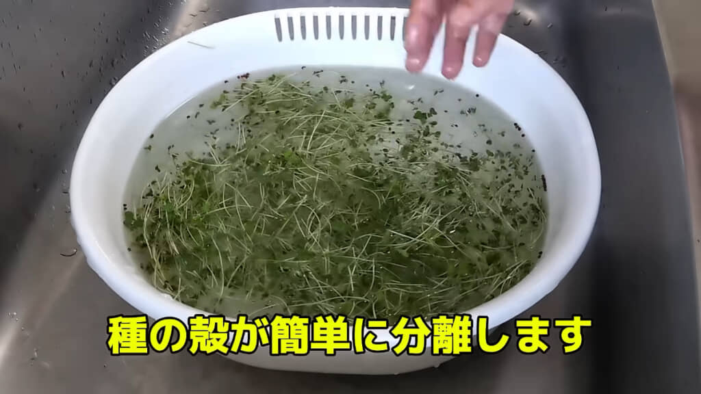 水をぐるぐるかき混ぜるだけで種の殻が分離!