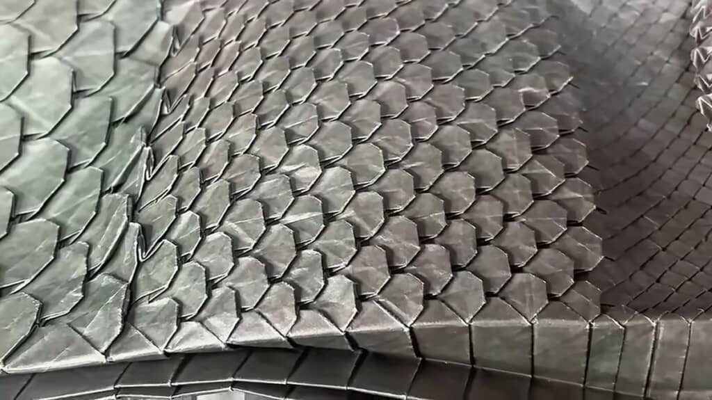 立体的に表現されたピラルクのウロコ