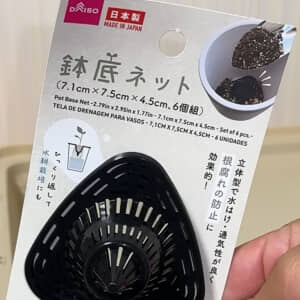 レタス栽培