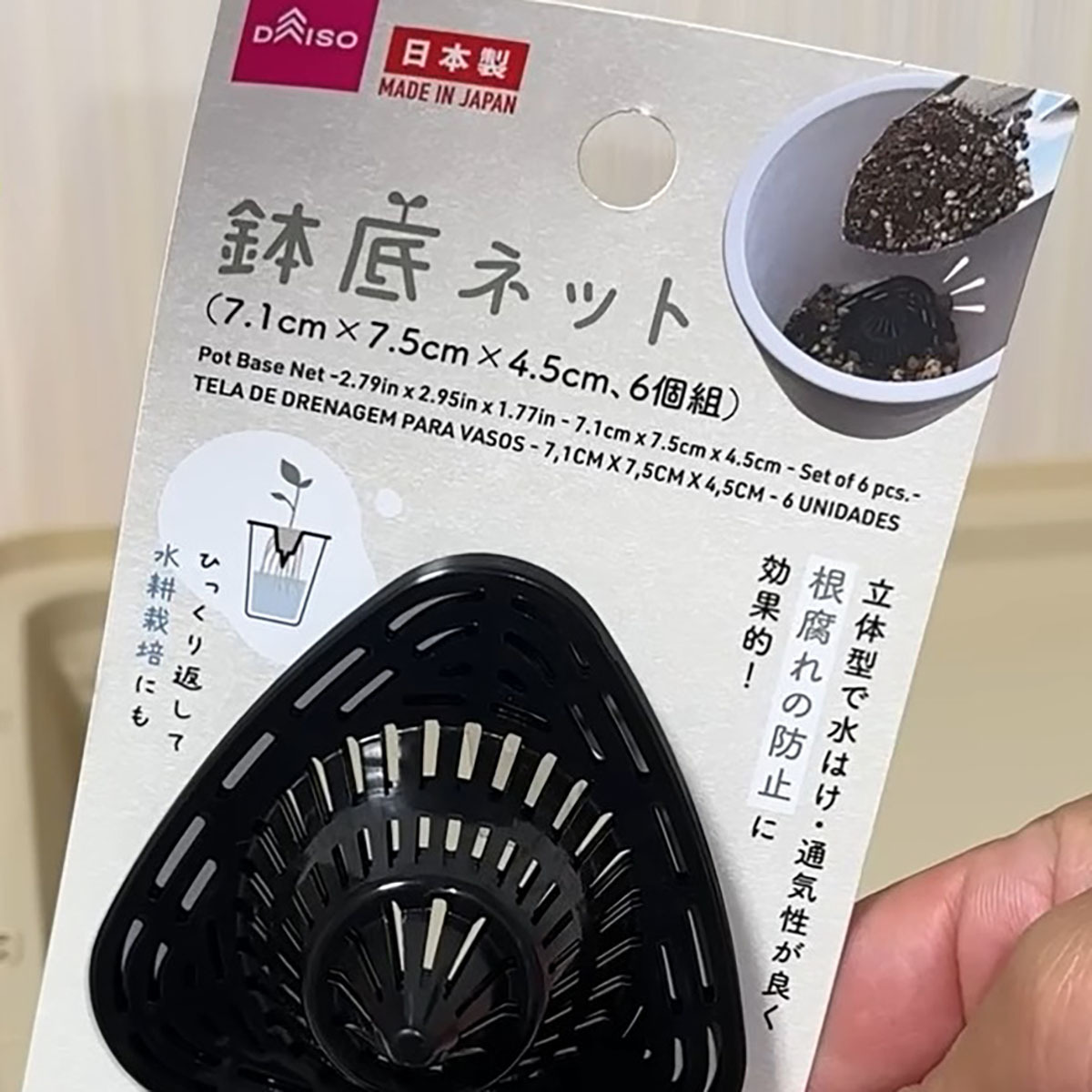 ダイソーの鉢底ネット→レタス6種類の種をまいたら…… 1キロ超の“大収穫”に「こんな綺麗になるんですね!」(1/3) | ライフスタイル ねとらぼ