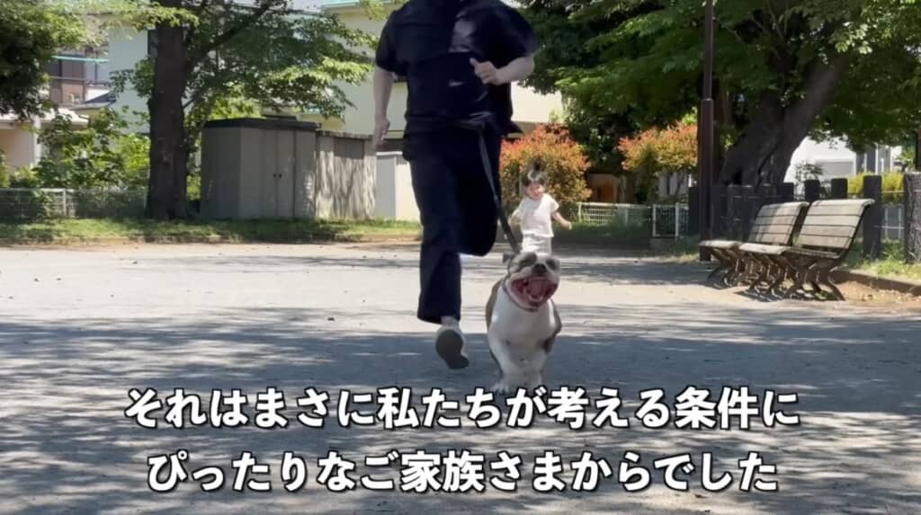里親募集をスタートさせたレンちゃん