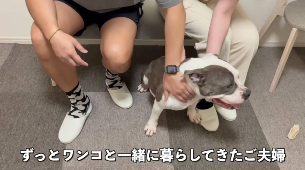 条件がぴったりな家族と出会えました