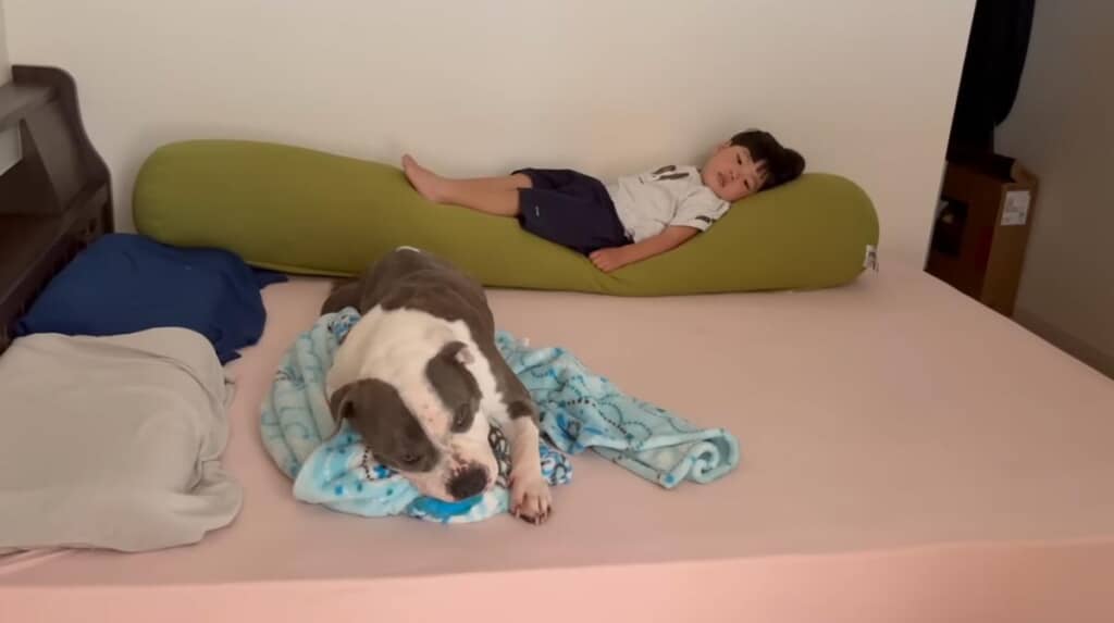 お別れの前日、息子くんと過ごすレンちゃん