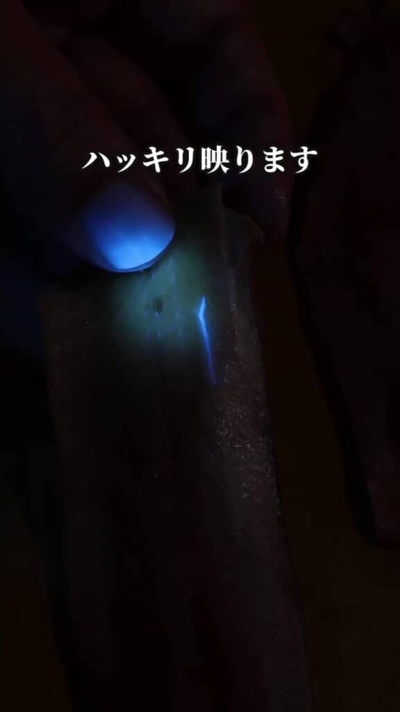 怪しすぎる光！