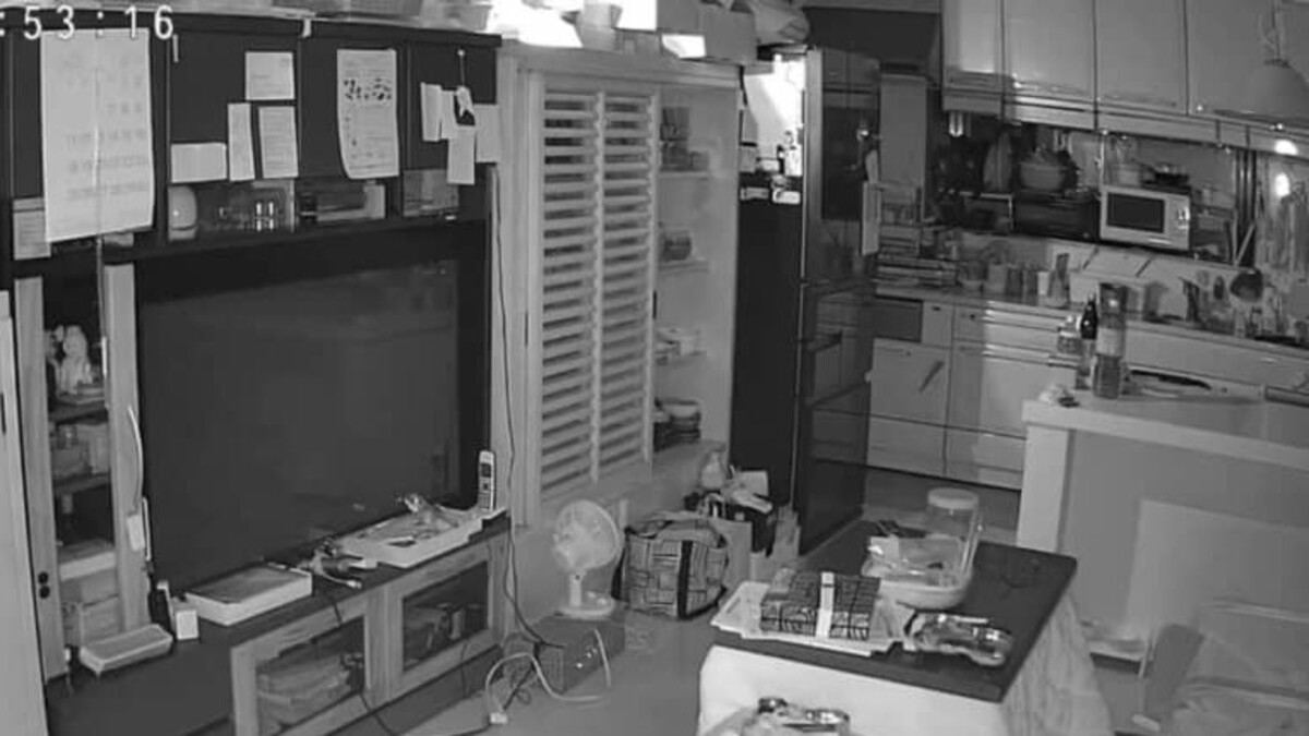 深夜、実家のペットカメラから「シャー」という爆音→映っていたのは……　まさかの光景に「えーー」「これはあかんやつや」（1/2） | その他生き物 ねとらぼ