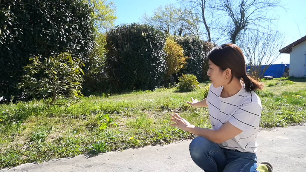 雑草だらけの庭に菜園スペースを作っていきます