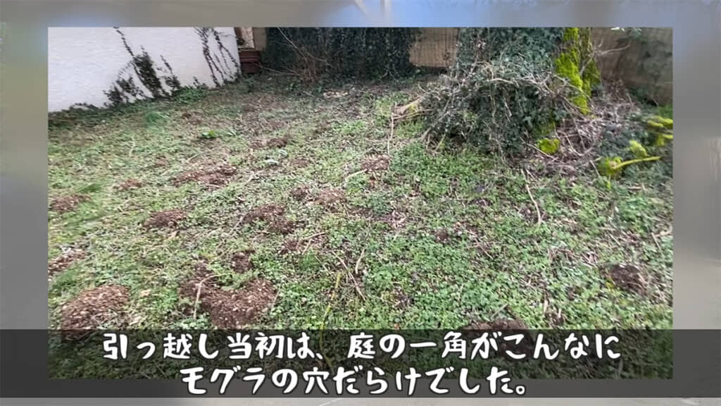 庭にはモグラがいるようです